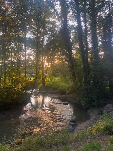 love taking a walk through the forest and just being able to take a moment to enjoy this view<3 Taman Vintage, Taman Air, Cottage Aesthetic, Image Nature, Pretty Landscapes, Cottage Core Aesthetic, Alam Yang Indah, Alam Semula Jadi, Nature Aesthetic