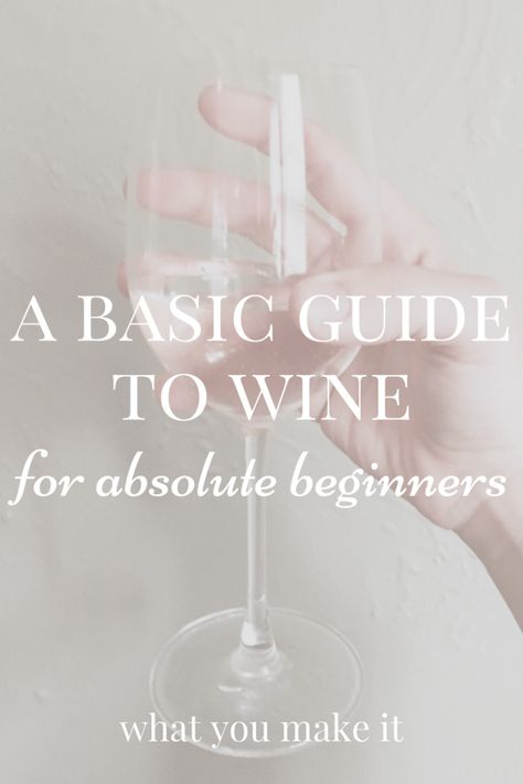 basics about wine - wine for beginners - types of wine - how to taste wine - how to pair wine - What You Make It blog Wine 101, Wine Recommendations, Sweet White Wine, Wine Knowledge, Wine Subscription, Wine Magazine, Wine Tasting Experience, Wine Expert, Wine Preserver