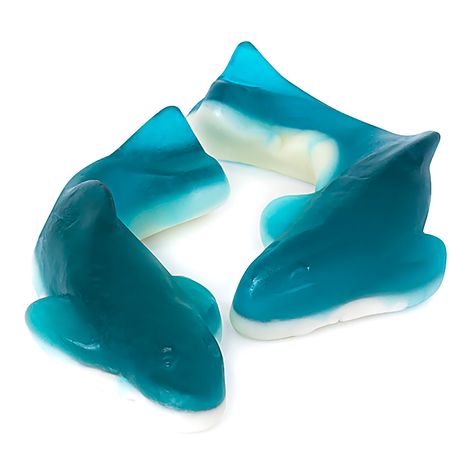 Weird Candy, Gummy Shark, Gummy Sharks, Shark Things, Candy Gummy, Take What You Need, Blue Shark, Bulk Candy, Baby Life