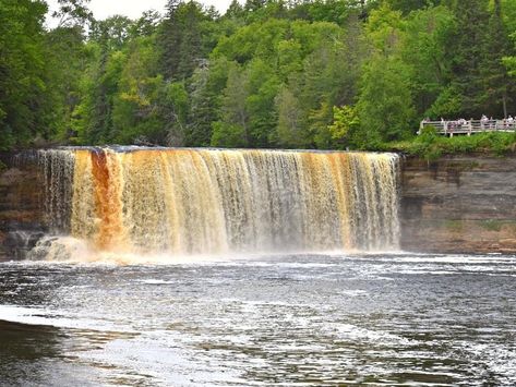 Tahquamenon Falls State Park, Tahquamenon Falls Michigan, Tahquamenon Falls, Upper Peninsula Michigan, Cross Country Ski, Michigan Travel, Toddler Fall, Upper Peninsula, Cross Country Skiing