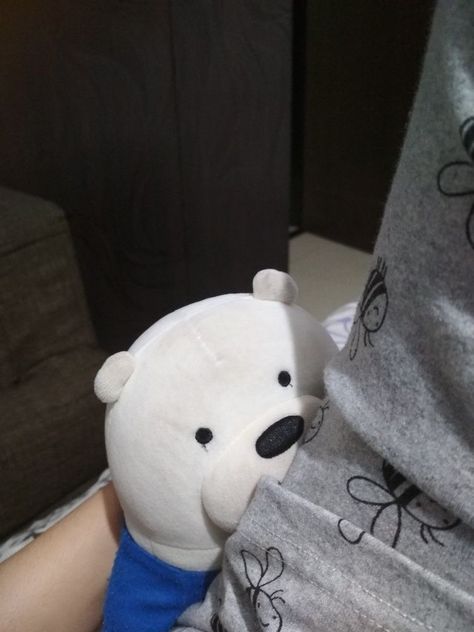 Ice Bear Plushie, We Bear Bears, Blushing Anime, Ice Bear We Bare Bears, Bear Plushie, Bear Bears, Cute Squishies, Ice Bear, Ice Bears