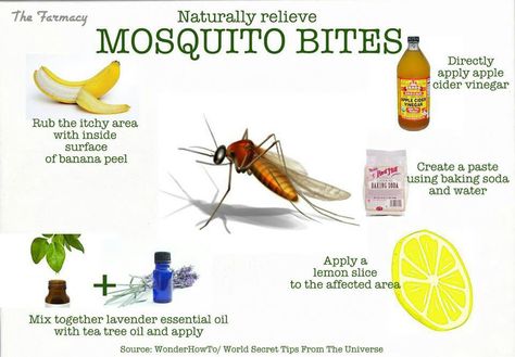 Natural remedies to misquote bites Mosquito Bite Remedy, Mosquito Bite Relief, Mosquito Bite Itch, Remedies For Mosquito Bites, Bug Bites Remedies, Bite Relief, Mosquito Bites, Banana Peel, Mosquito Bite