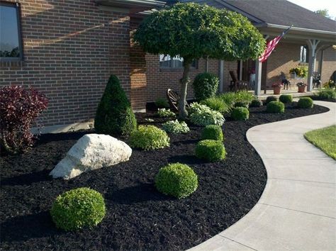 Amazing ideas for you ! Best Landscaping Border, Front Yard Black Mulch, White And Black Rock Landscaping, House Front Landscape, Black Mulch Landscaping Front Yards, Black Mulch Landscaping, Front Lawn Landscaping, Mulch Landscaping, Yard Landscaping Simple