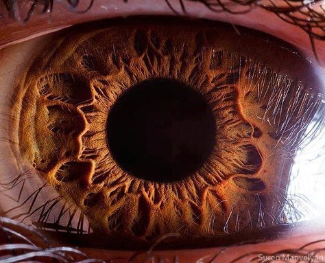 Extreme Close up HD image of the human eye ! | por SriSanjev William S Burroughs, Human Photography, Realistic Eye Drawing, Micro Photography, Photo Macro, Trendy Eyeshadow, Eye Close Up, Steve Mccurry, Extreme Close Up