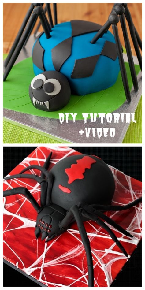 Tarantula Cake Birthday, Spider Cake Design, Bug Cakes For Boys, Spider Cake Birthday, Tarantula Cake, Kids Halloween Cake, Simple Halloween Cake Ideas, Spider Birthday Cake, Halloween Cakes For Kids