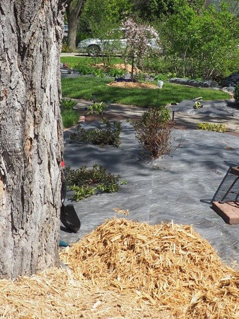 Don't lay landscaping fabric on the ground then apply mulch on top of it. | Renegade Gardener Mulch Under Deck, Natural Mulch Landscaping, Landscape Fabric How To Lay, How To Lay Mulch Down, Cedar Mulch Landscaping, Rock And Mulch Landscaping, Mulch Backyard, Stone Sidewalk, Mulch Landscaping Ideas