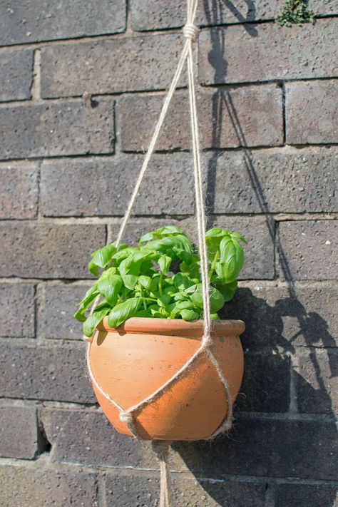 Easy Plant Hanger Diy, Hanging Pot Plants, Diy Plant Hanger Easy, Diy Macrame Plant Hanger Easy, Hanging Baskets Diy, Plant Hanger Tutorial, Outdoor Plant Hanger, Flower Pot Hanger, Baskets Diy