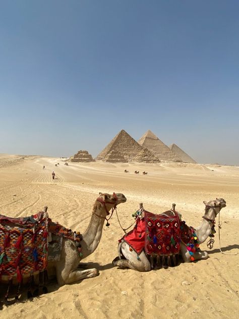 Egypt Travel Aesthetic, Kairo Egypt, Cairo Egypt Aesthetic, Cairo Aesthetic, Egypt Pictures, Egypt Country, Egypt Pyramids, Life In Egypt, Egypt Aesthetic