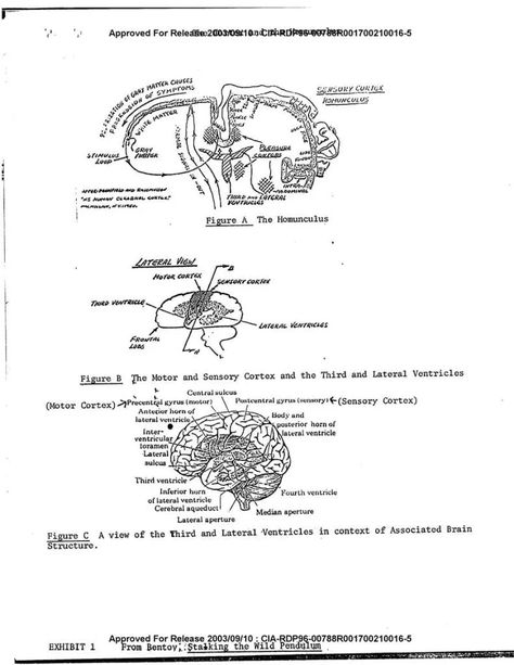 Declassified: CIA Explains Consciousness, the Matrix, How World is a Hologram, Telepathy | The Impious Digest Gateway Experience, Energy Forms, Public Domain Books, Spiritual Psychology, Central Intelligence Agency, Energetic Body, Transcendental Meditation, Intelligence Agency, Applied Science