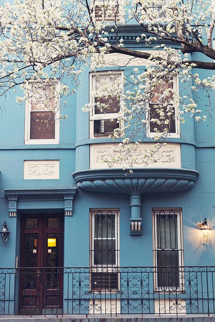 The Blue House. by Moeys Photography, via Flickr Bujo Aesthetic, Everything Is Blue, Fotografi Kota, Pintura Exterior, Blue Pastel, Bohol, Aesthetic Background, Feeling Blue, Facade House