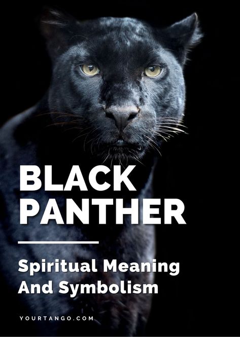 Black Panther Tattoo Meaning, Black Panther Spirit Animal Meaning, Black Panther Symbolism, Black Panther Spiritual Meaning, Black Panther Animal Aesthetic, Black Panther Animal Tattoo, Panther Goddess, Black Panther Spirit Animal, Panther Symbolism