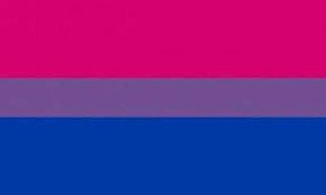 💖💜💙 Bisexual Pride Flag, Bi Flag, Bisexual Flag, Lgbtq Flags, Lgbt Flag, Lgbt Pride, Pride Flags, Flag, India