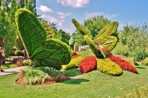 Alternanthera (Butterflies) | Karl Gercens | Flickr Butterfly Park, Park Signage, Unique Garden Art, Urban Landscape Design, Garden Park, Flower Landscape, Unique Gardens, Outdoor Inspirations, Interior Garden