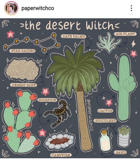 Desert Witch Art, Desert Witchcraft, Bill Dip, Witch Types, Desert Witch, Candle Magick, Magical Life, Witch Spell, Witch Magic