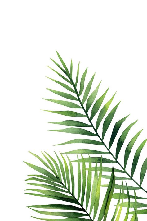 Art Zine, Fabric Painting Techniques, Palm Trees Painting, Leaves Illustration, Leaf Illustration, Leaf Drawing, Tropical Art, Painted Leaves, Tree Wall Art