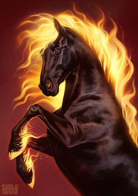 Mythical Horse Art, Fire Horse Art, Fire Magic Art, Fire Guardian, Fire Animals, Fire Unicorn, Night Horse, Lemonade Illustration, Dragon Horse