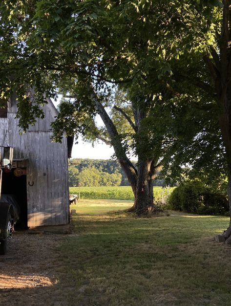 Darby Core Aesthetic, Small Town Summer Aesthetic, Weird Nostalgia, Appalachian Gothic, Darby Core, Folk Aesthetic, Northern Attitude, Workshop Shed, Small Town America