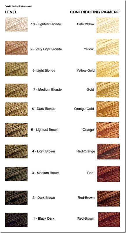 hair color level chart Level 8 Hair Color, Blonde Hair Levels, Levels Of Hair Color, Bleaching Hair, Hair Chart, Hair Levels, Hair Color Formulas, At Home Hair Color, Hair Color Chart