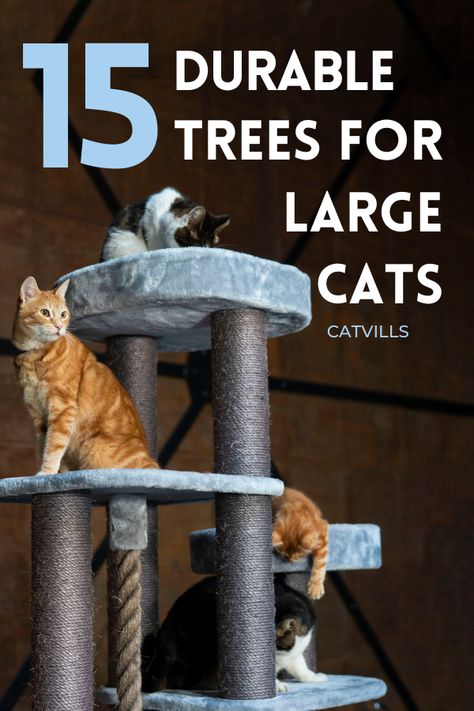 Cat Trees For Large Cats, Cat Trees Homemade, Cat Tree Plans, Small Cat Tree, Cat Tree Designs, Cat Scratching Tree, Large Cat Tree, Cool Cat Trees, Diy Cat Tree