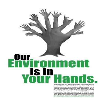 The environment is up to us Environmental Posters Creative, Moodboard Poster, Ecofriendly Quotes, Advocacy Poster, Environment Day Quotes, Earth Posters, Save Earth Posters, World Environment Day Posters, Environment Poster