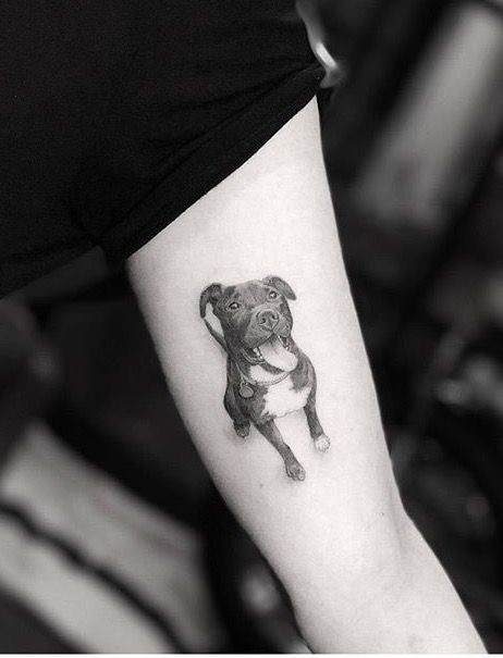 Freyja Tattoo, Tattoo Perro, Geometric Dog Tattoo, Dr Woo Tattoo, Tatoo Dog, Tattoo Designs Unique, Pitbull Tattoo, Tier Tattoo, Dr Woo