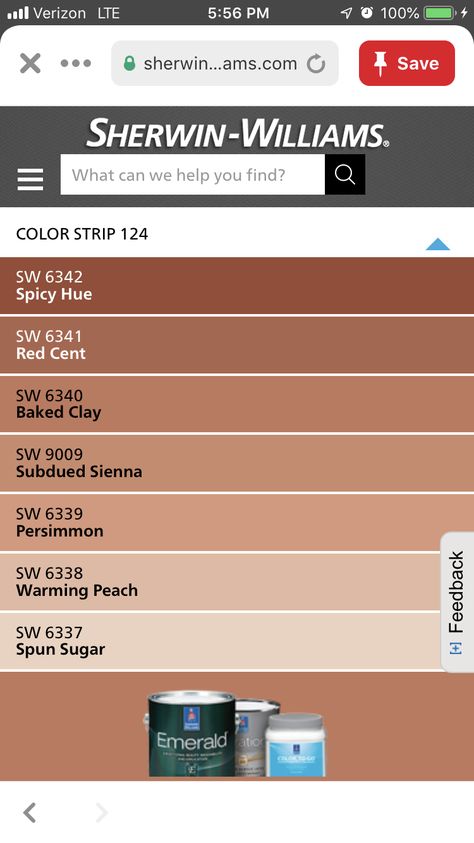 Sw Terracotta Paint, Terracotta Accent Wall Dining Room, Terra Cotta Paint Color Sherwin Williams, Sw Terra Cotta Colors, Sherwin Williams Subdued Sienna, Terracotta House Exterior Color Palettes, Sedona Paint Colors, Brick Red Bathroom, Fall Inspired Paint Colors