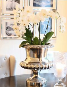 ZsaZsa Bellagio – Like No Other: The Elegant Home love using silver champagne buckets for flowers Bucket Decor, Gray Interiors, Orchid Flower Arrangements, Bucket Ideas, Silver Display, Vase With Flowers, Champagne Bucket, Orchid Arrangements, Champagne Buckets