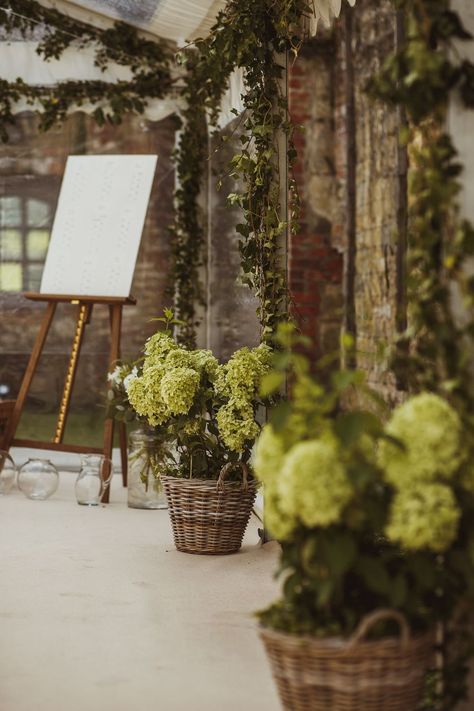 Hydrangea Flower Baskets Newburgh Priory Wedding Neil Jackson Photographic #Hydrangea #FlowerBaskets #Wedding Potted Hydrangea Wedding, Hydrangea Ceremony Decor, Green Hydrangeas Wedding, Fall Hydrangea Wedding, Limelight Hydrangea Wedding, Flower Arrangements With Hydrangeas, Dried Hydrangeas Wedding, April Wedding Flowers, Neil Jackson