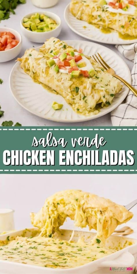 These Green Enchiladas are creamy, cheesy & full of flavor! Stuffed with chicken, sour cream, shredded cheese, and Salsa Verde, you can't go wrong with this easy Salsa Verde Enchilada Recipe. Whether served as an easy family dinner or for a party, everyone loves Salsa Verde Chicken Enchiladas! Green Chili Chicken Enchiladas Salsa Verde, Chicken Seasoning For Enchiladas, Salsa Verde Sour Cream Enchiladas, Easy Creamy Salsa Verde Chicken Enchiladas, Green Sour Cream Enchiladas, Recipe With Salsa Verde, Shredded Chicken Enchiladas Green, Easy Chicken Enchilada Recipe Green Sauce, Creamy Enchiladas Verdes