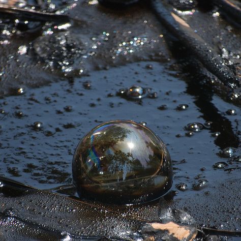 Tar Pit Bubble by nickburlett, via Flickr Tar Pit, La Brea Tar Pits, Star Wars Fanfiction, Rigor Mortis, Marine Pollution, Picture Boards, Water Pollution, Oil Spill, Best Mysteries