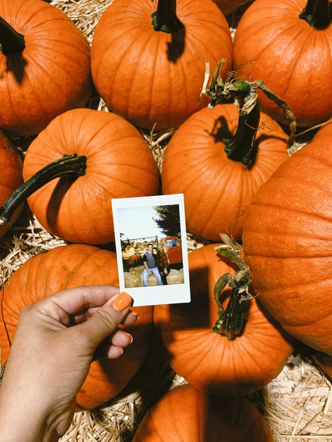 Couple Pumpkin Patch Pics, Pumpkin Patch Picture Ideas Couples, Pumpkin Picking Pictures, Polaroid Couple, Pumpkin Patch Couple Photos, Halloween Costumes Redhead, Autumn Board, Creative Photography Poses, Pumpkin Patch Photoshoot