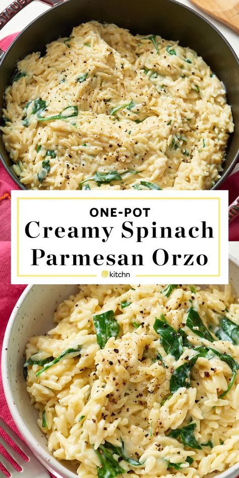 Orzo Parmesan Spinach, Instapot No Meat Recipes, Dinner With Meat And Veggies, Creamy Garlic Orzo Pasta, Dinner Recipes Using Spinach, Spinach And Orzo Recipes, Orzo Recipes With Spinach, One Serving Dinner Recipes, Easy Dinner Recipes No Cheese