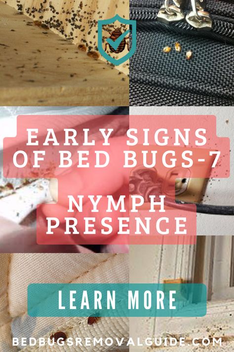 If you find any of the nymphs, that’s another sign of infestation in addition to spotting adult bed bugs. 👉 Learn more. Signs Of Bed Bugs, Adult Bed, Bed Bug Bites, Bed Bug, Bug Bites, One Bed, Bed Bugs, Hairstyle Ideas, Bugs