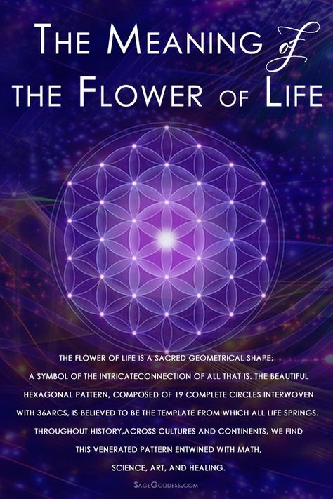 Flower Of Life Meaning, Sacred Geometry Meanings, Simple Meditation, Life Meaning, Sacred Geometry Patterns, The Flower Of Life, Sacred Geometry Symbols, Easy Meditation, Sacred Geometry Art