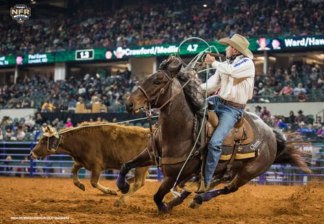 The Bits That Won the World: 2000 to Present. The complete list of team roping world champions, their horses and the bits they used to win world titles from 2000 to 2020. Rodeo Photography, Roping Horse, Working Cow Horse, Western Horses, Horse Reference, Calf Roping, Cowboy Life, Rodeo Time, Cow Horse