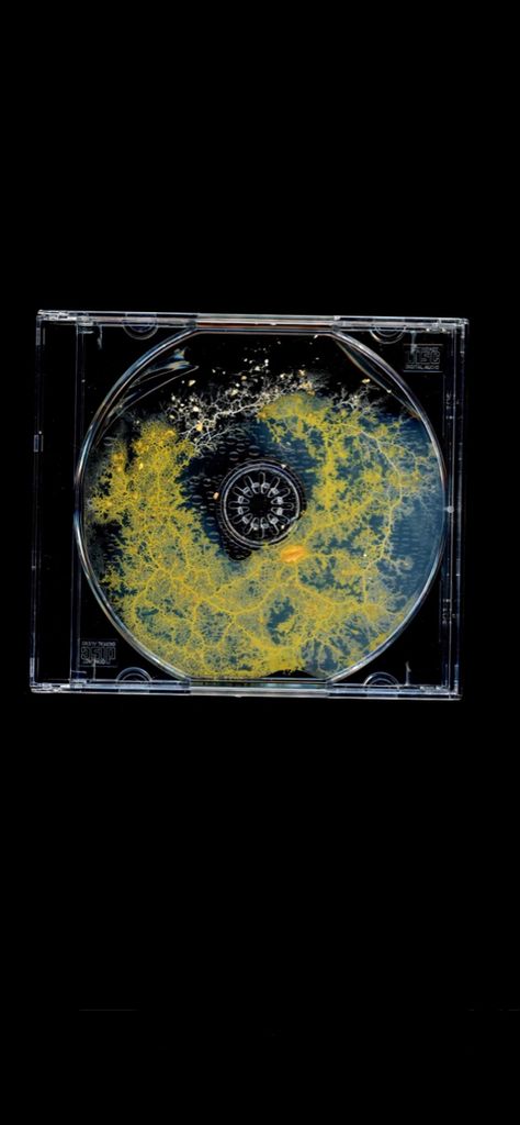 slime mold growing in a cd, screenshot from a clip of new music from dominic fike’s new album Sunburn Dominic Fike Wallpaper, Sunburn Dominic Fike, Dominic Fike Sunburn, Dominic Fike Wallpaper, Dominic Fike, Slime Mould, 2 Wallpaper, Room Stuff, Minecraft Architecture