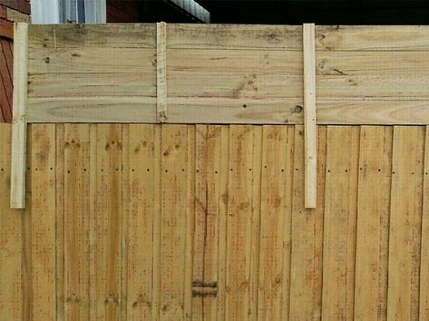 Fence Extensions For Privacy, Pallet Privacy Wall, Fence Panels Ideas Decor, Exterior Fence, Fence Panels Ideas, Gazebo Ideas Backyard, Fence Extension, Fence Landscaping Border Backyard Ideas, Diy Privacy Screen