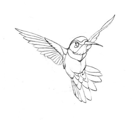 Hummingbird Sketch, Hummingbird Illustration, Hummingbird Drawing, Hummingbird Art, Sketch Pencil, Hummingbird Tattoo, Birds Tattoo, Bird Drawings, Arte Animal