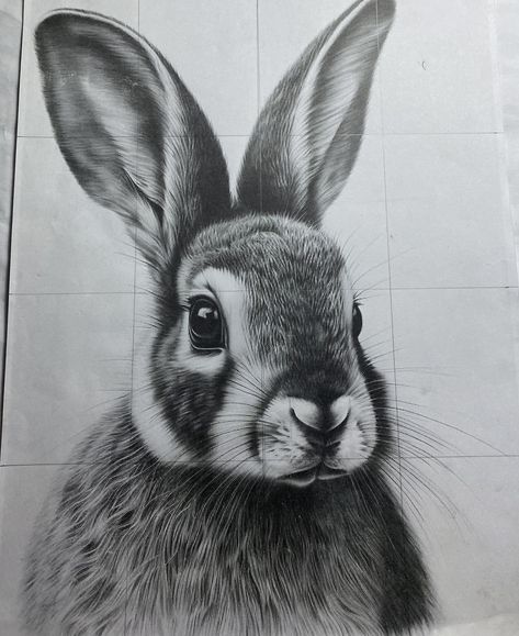 Bunny Drawing Realistic, Realistic Bunny Drawing, Charcole Drawings, Random Sketches, Rabbit Drawing, Bunny Tattoos, Bunny Drawing, Bunny Art, Half Sleeve Tattoo