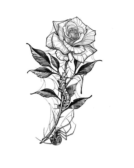 Flowers Tattoo Drawing, To Him, Spider Web Tattoo, Rose Drawing Tattoo, He Is, Armband Tattoos, Flower Tattoo Drawings, Gothic Flowers, Web Tattoo