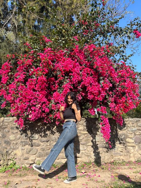 Bougainvillea Poses, Aesthetic Single Pictures, Poses For Single Pictures, Girly Pose Photo Ideas Instagram, Single Pose Ideas, Girly Pose Photo Ideas, Singles Poses, Asthetic Poses For Instagram, Single Photo Poses