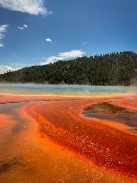 Yellowstone National Park Photoshoot, Grand Prismatic Spring Yellowstone, Yellowstone Park Aesthetic, Yellow Stone National Park Aesthetic, Yellowstone National Park Aesthetic, Yellowstone Photos, Chandler Aesthetic, Yellowstone Aesthetic, Wyoming Aesthetic