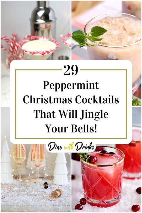 Collage of 4 peppermint christmas cocktails. Peppermint Cocktails, Holiday Drink Ideas, Christmas Cocktails Vodka, Peppermint Cocktail, Christmas Cocktail Recipes, Baileys Drinks, Peppermint Vodka, Christmas Cocktails Easy, Peppermint Martini