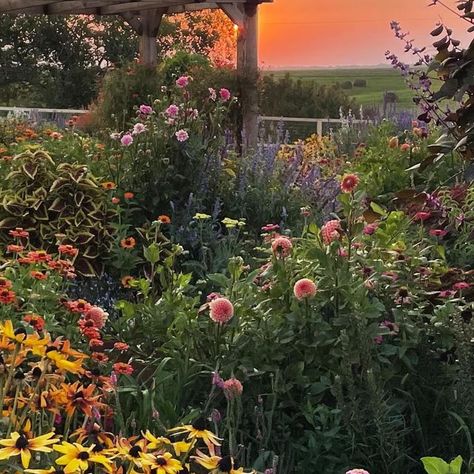 Lori Bochner on Instagram: "As a gardener and flower farmer, I’ve made so many mistakes. But I learn, and try again. And again. And try new things. And learn. It’s a process, but oh my what a beautiful process. 💫 The 2nd season of the magical Cottage Garden has officially come to an end. We had a hard freeze last night and cold weather is anticipated for the next week. This Cottage Garden honestly saved me in so many ways (which is a story for another day). I am grateful for the beauty she provided this season. And I’m excited to begin the process of planning for next season. I hope you’ll join me for the journey! I’m taking the lessons I learned from this year, and making some fun changes for 2024. I think it’s going to be more beautiful than ever. I hope. Delusion? Maybe, Me As A Plant, Me As A Season, How Pinterest Sees Me Season, What Season Am I, Magical Cottage, Me Season, Flower Season, Happy Autumn, My Plant