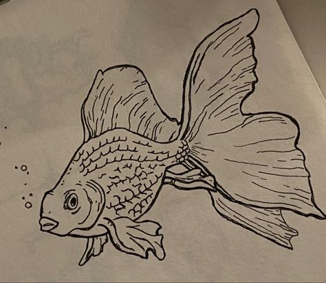 Goldfish Line Art, Fish Line Drawing, Goldfish Drawing, Fan Ideas, Goldfish Art, Art Pen, Fish Drawings, Gold Fish, Art Pens