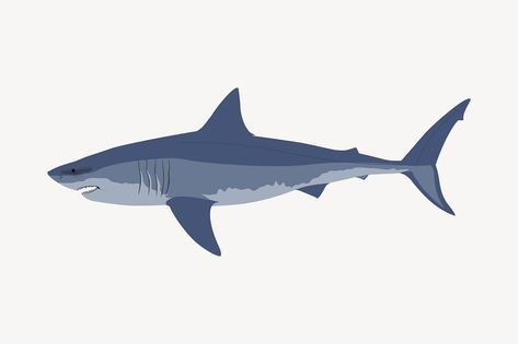 Great white shark clipart, sea life illustration vector. Free public domain CC0 image. | free image by rawpixel.com Sea Life Illustration, Shark Clipart, Shark Illustration, Life Illustration, Fish Illustration, Blue Shark, White Sharks, Great White Shark, Great White