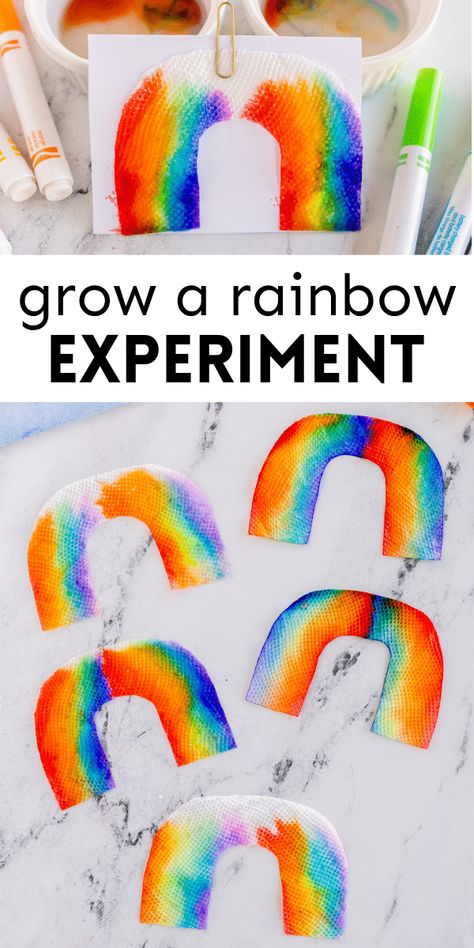 Growing Rainbow Experiment, Colorful Science Experiments For Kids, Rainbow Water Science Experiment, Spring Science Experiments For Toddlers, Rainbow Math Preschool, Rainbow Stem Activities Preschool, Art Experiences For Preschoolers, Lessons For Two Year Olds, Reggio Crafts Preschool