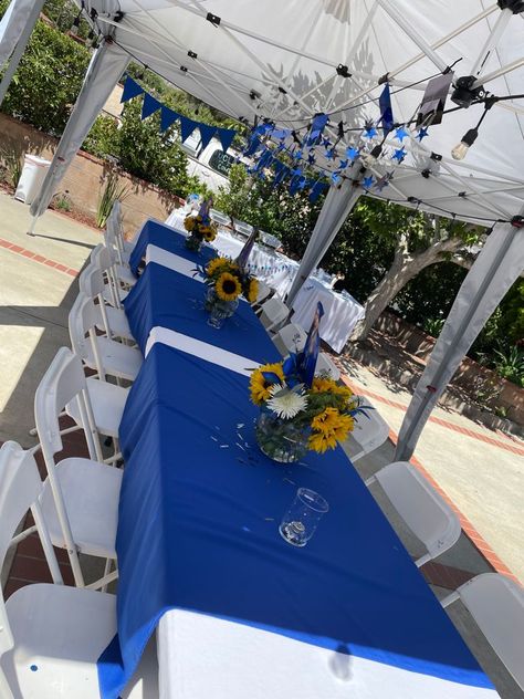 Royal Blue And White Graduation Party, White Graduation Party Ideas, Blue And White Graduation Party Ideas, Blue And White Graduation Party, Graduation Decor Ideas, Royal Blue Graduation Party, White Graduation Party, Blue Graduation Party, Graduation Party Pictures