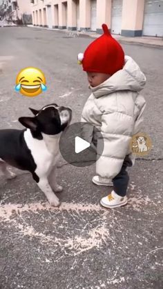 Dog Humor Hilarious, Funny Dog Videos Hilarious Laughing, Funny Dog Videos Make Me Laugh, Funny Dog Videos Try Not To Laugh, Try Not To Laugh Videos Hilarious, Dog Videos Funny Hilarious, Funny Dog Videos Hilarious, Hilarious Dog Videos, Dog Videos Funny