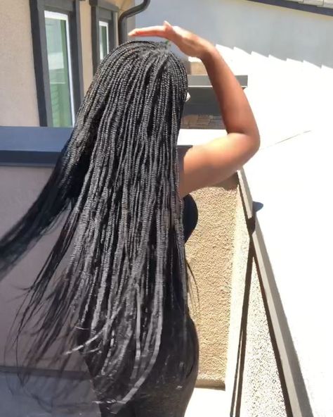 Jul 20, 2019 - #micros #microbraids #microboxbraids #boxbraids #longbraids #braids #protectivestyles #protectivebraidstyles #summerhair #braidstyles Small Micro Braids, Micro Box Braids Long, Long Micro Braids, Micro Box Braids, Micro Braids Styles, Micro Braids Hairstyles, Small Box Braids, Short Box Braids, Single Braids